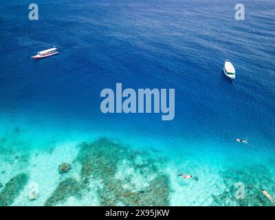 Volo di amanti dello snorkeling che nuotano su una barriera corallina poco profonda con le tartarughe marine in un oceano tropicale Foto Stock