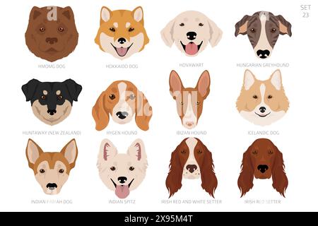 Testa di cane in ordine alfabetico. Tutte le razze di cani. Design vettoriale colore. Illustrazione vettoriale Illustrazione Vettoriale