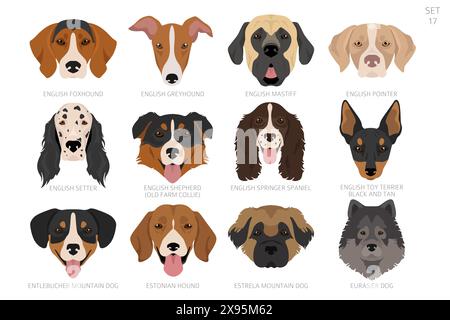 Testa di cane in ordine alfabetico. Tutte le razze di cani. Design vettoriale colore. Illustrazione vettoriale Illustrazione Vettoriale