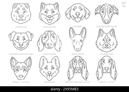 Sagome della testa del cane in ordine alfabetico. Tutte le razze di cani. Semplice design vettoriale di linea. Illustrazione vettoriale Illustrazione Vettoriale