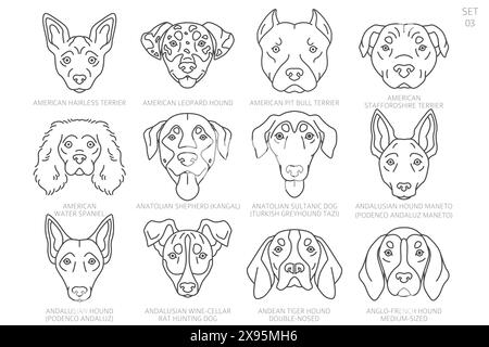 Sagome della testa del cane in ordine alfabetico. Tutte le razze di cani. Semplice design vettoriale di linea. Illustrazione vettoriale Illustrazione Vettoriale