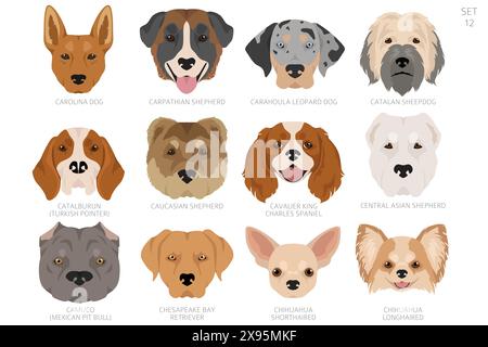 Testa di cane in ordine alfabetico. Tutte le razze di cani. Design vettoriale colore. Illustrazione vettoriale Illustrazione Vettoriale