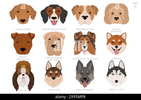 Testa di cane in ordine alfabetico. Tutte le razze di cani. Design vettoriale colore. Illustrazione vettoriale Illustrazione Vettoriale