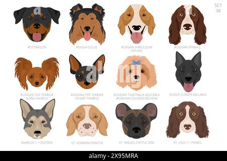 Testa di cane in ordine alfabetico. Tutte le razze di cani. Design vettoriale colore. Illustrazione vettoriale Illustrazione Vettoriale