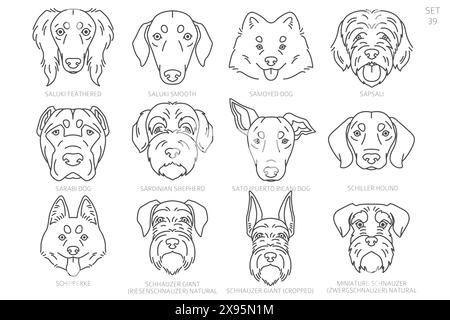 Sagome della testa del cane in ordine alfabetico. Tutte le razze di cani. Semplice design vettoriale di linea. Illustrazione vettoriale Illustrazione Vettoriale