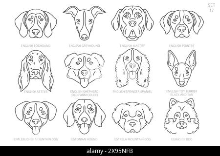 Sagome della testa del cane in ordine alfabetico. Tutte le razze di cani. Semplice design vettoriale di linea. Illustrazione vettoriale Illustrazione Vettoriale