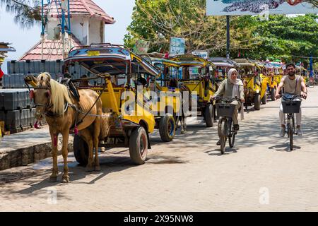 Tradizionale cavallo e carro (Cidomo) in attesa di turisti a Gili Trawangan nell'isola indonesiana di Gili Foto Stock