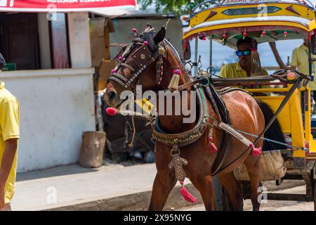 GILI TRAWANGAN, INDONESIA - 10 NOVEMBRE 2023: Carrozze trainate da cavalli tradizionali (Cidomo) sulla strada principale di Gili Trawangan nelle isole indonesiane Gili Foto Stock