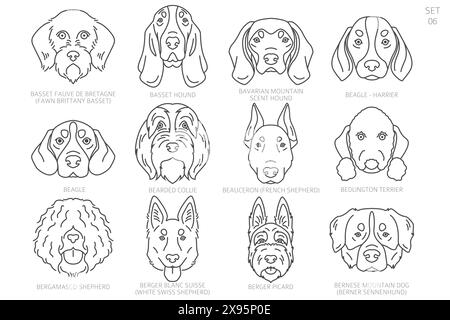 Sagome della testa del cane in ordine alfabetico. Tutte le razze di cani. Semplice design vettoriale di linea. Illustrazione vettoriale Illustrazione Vettoriale