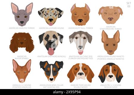 Testa di cane in ordine alfabetico. Tutte le razze di cani. Design vettoriale colore. Illustrazione vettoriale Illustrazione Vettoriale