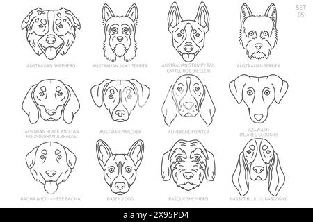 Sagome della testa del cane in ordine alfabetico. Tutte le razze di cani. Semplice design vettoriale di linea. Illustrazione vettoriale Illustrazione Vettoriale