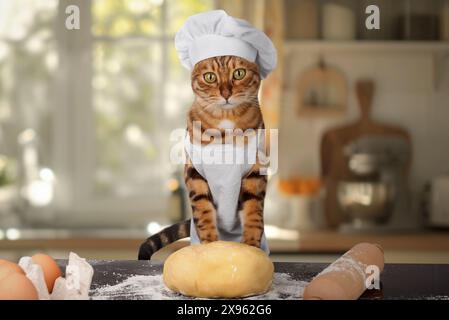 Il gatto è un fornaio in grembiule e un cappello con impasto. Il gatto sta preparando del cibo. Foto Stock