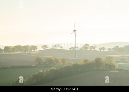 Misty Morning Light presso Dorket Head nel Nottinghamshire Inghilterra Regno Unito Foto Stock