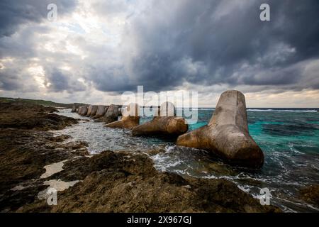 Tetrapodi dell'isola di Yonaguni, delle isole Yaeyama, del Giappone, dell'Asia Foto Stock