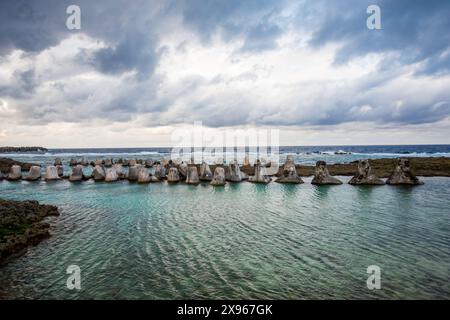 Tetrapodi dell'isola di Yonaguni, delle isole Yaeyama, del Giappone, dell'Asia Foto Stock