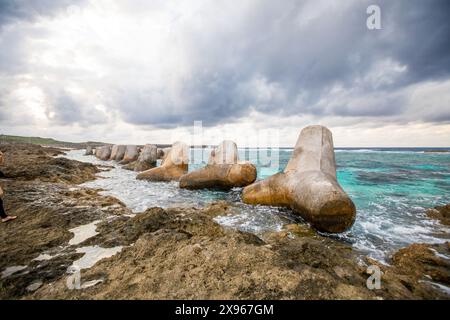 Tetrapodi dell'isola di Yonaguni, delle isole Yaeyama, del Giappone, dell'Asia Foto Stock