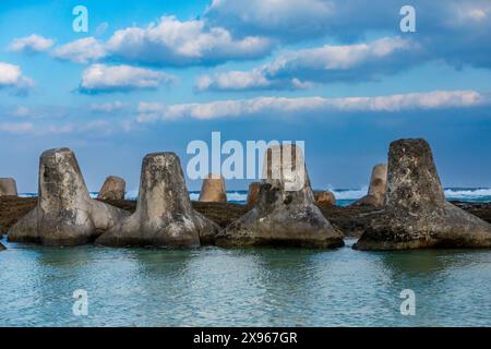 Tetrapodi dell'isola di Yonaguni, delle isole Yaeyama, del Giappone, dell'Asia Foto Stock