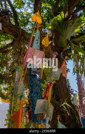 Donazioni di denaro sugli alberi al tempio buddista Wat Ket Karam a Chiang mai, Thailandia, Sud-est asiatico, Asia Foto Stock