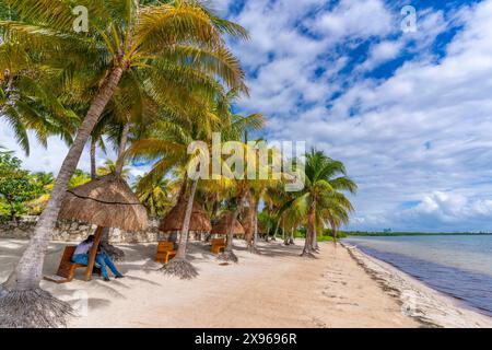 Vista di palme e Playa Delfines, Cancun, costa caraibica, penisola dello Yucatan, Riviera Maya, Messico, Nord America Foto Stock