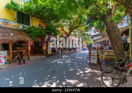 Vista dei negozi sulla 5th Avenue, Playa del Carmen, Costa dei Caraibi, Penisola dello Yucatan, Riviera Maya, Messico, Nord America Foto Stock