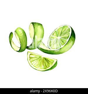 acquerello lime con buccia sbucciata e fetta, illustrazione disegnata a mano di mezza lime verde fresca con buccia e metà lime, schizzo di frutta estiva per Foto Stock