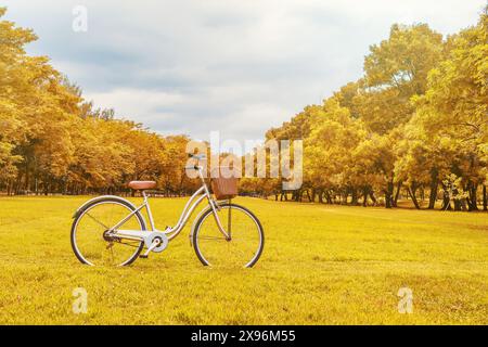 Bicicletta in giardino d'estate realizzata con filtri colorati, Soft Focus Foto Stock