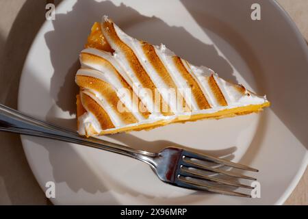 Una grande porzione di torta o torta al meringa al limone appena sfornata. La fotocamera si trova sopra la testa e mostra la morbida crema di meringa Foto Stock