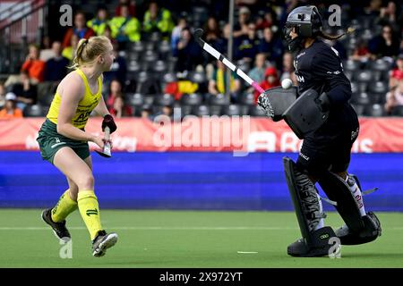 Anversa, Belgio. 29 maggio 2024. Amy Lawton australiana e il portiere del Belgio Aisling D'hooghe sono stati raffigurati in azione durante una partita di hockey tra la nazionale belga dei Red Panthers e l'Australia, partita 9/16 nella fase a gironi della FIH Pro League femminile 2024, mercoledì 29 maggio 2024, ad Anversa. BELGA FOTO DIRK WAEM credito: Belga News Agency/Alamy Live News Foto Stock