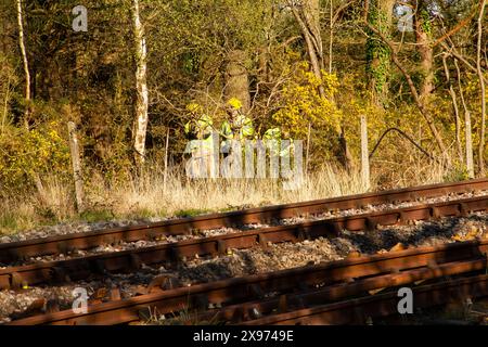 Fuoco a lato della linea, vigili del fuoco presenti, Creech Bottom, Swanage Railway Strictly Bulleid Steam Gala 2017 Foto Stock