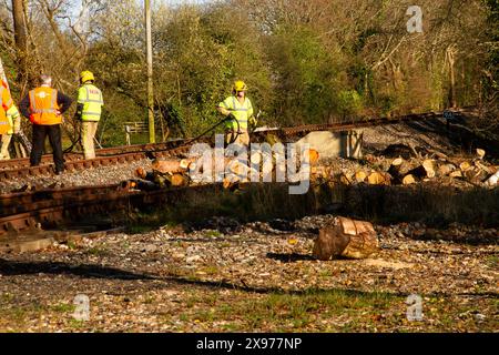 Fuoco a lato della linea, vigili del fuoco presenti, Creech Bottom, Swanage Railway Strictly Bulleid Steam Gala 2017 Foto Stock