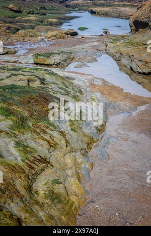 L'interessante formazione rocciosa Devils Punchbowl è un'area naturale statale vicino a Newport e Otter Rock, Oregon, Stati Uniti. Foto Stock