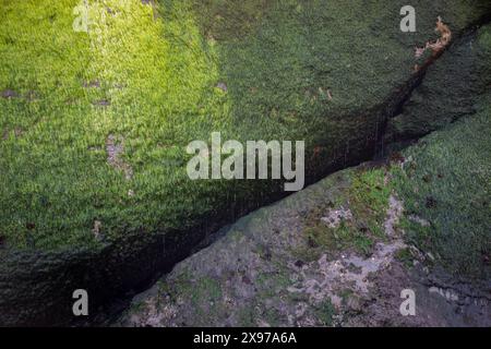 L'interessante formazione rocciosa Devils Punchbowl è un'area naturale statale vicino a Newport e Otter Rock, Oregon, Stati Uniti. Foto Stock