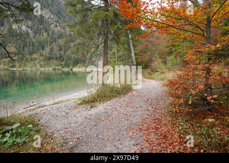 Paesaggio di un piccolo sentiero che si snoda accanto ad un lago limpido (Plansee) in autunno in Tirolo Foto Stock