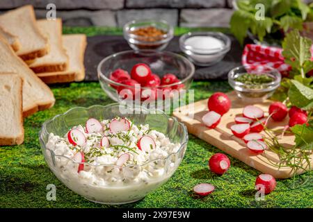 Spalmazione fresca di ravanelli, ricotta e spezie circondata da ingredienti e fette di pane su una zona erbosa Foto Stock