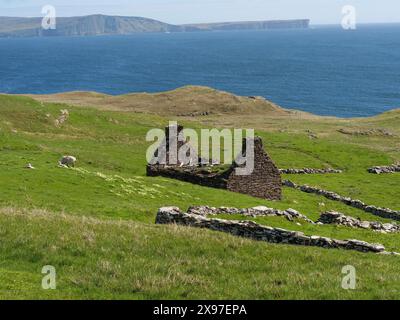 Paesaggio con prati verdi, rovine e il mare blu sullo sfondo, campi verdi sulla costa frastagliata con acqua blu, rocce e vecchie case Foto Stock