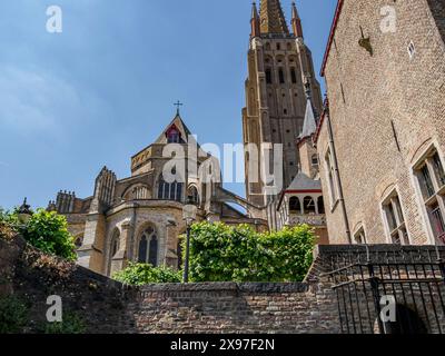 Cattedrale gotica con alte torri e mura in mattoni in un giorno d'estate, case storiche e chiese con torri su un fiume in Belgio, Bruges, Belgio Foto Stock