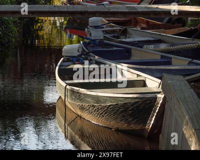 Una barca si trova sotto un ponte di legno in una zona ombreggiata di acqua, circondata da una fitta vegetazione, barche su piccoli canali nei paesi bassi, Giethoorn, il Foto Stock