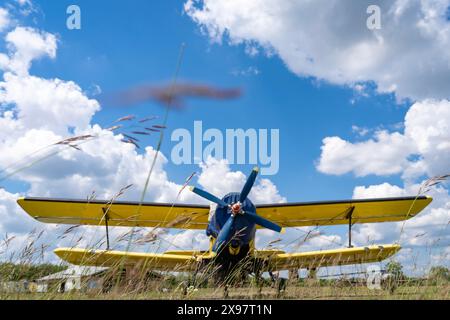 Giallo Antonov An-2 biplano vecchio aereo da trasporto fotografato dal basso su un campo di aviazione erboso Foto Stock