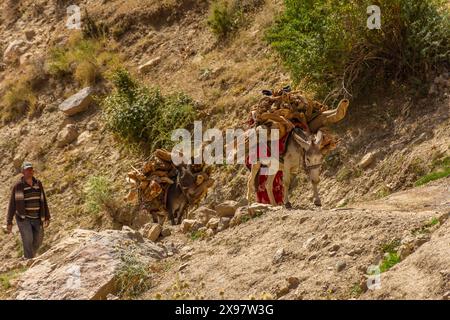 Haft Kul, Tagikistan, 21 agosto 2023: Foto Stock