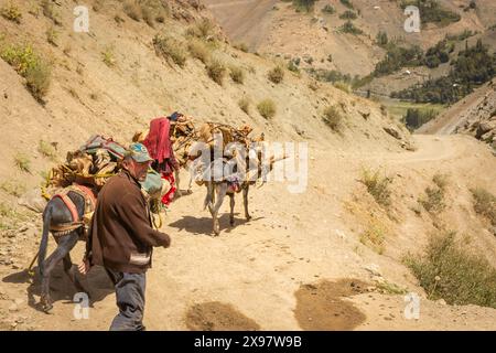 Haft Kul, Tagikistan, 21 agosto 2023: Famiglia con asini nei monti Fann Foto Stock