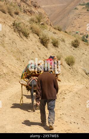 Haft Kul, Tagikistan, 21 agosto 2023: Famiglia con asini nei monti Fann Foto Stock