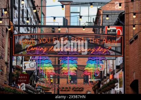 Esposizione di opere d'arte a ombrello sospeso all'esterno del pub di Belfast The Duke of York Commercial Court Cathedral Quarter Belfast. Foto Stock