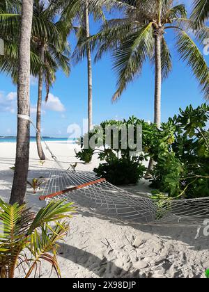 Un'amaca vuota oscilla tra le palme su una spiaggia sotto il cielo limpido alle Maldive Foto Stock