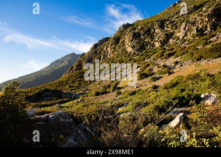 Vista dai monti del Rif , escursioni nelle fattorie rurali intorno a Chefchaouen, Marocco Foto Stock