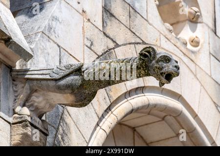 Arte medievale: Gargoyle gotico della cattedrale di Notre-Dame-de-l'Annonciation di Moulins, Francia, monumento storico situato nel dipartimento di Allier Foto Stock