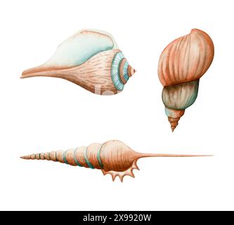 Illustrazione delle conchiglie a spirale con acquerello in blu e arancione. Chiocciole oceaniche disegnate a mano per un design nautico Foto Stock