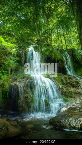 Splendida cascata di sorgente Dokuzak a Strandzha Mountain, Bulgaria. Montagna di Strandja, cascata nella foresta. Magnifico paesaggio vicino a Burgas Foto Stock