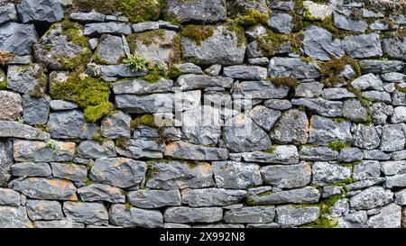 Primo piano di un vecchio muro usurato costruito con pietre grigie secche con muschio e licheni che crescono su di esso. Trama per lo sfondo Foto Stock