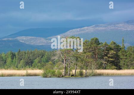 Loch Mallachie Foto Stock