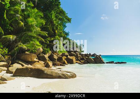 Spiaggia di Anse Georgette, Praslin, Seychelles Foto Stock